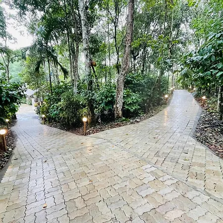 The Hive At Druv Dakshin Farm Resort Padinjarathara Exterior photo