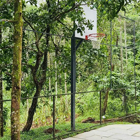 The Hive At Druv Dakshin Farm Resort Padinjarathara Exterior photo